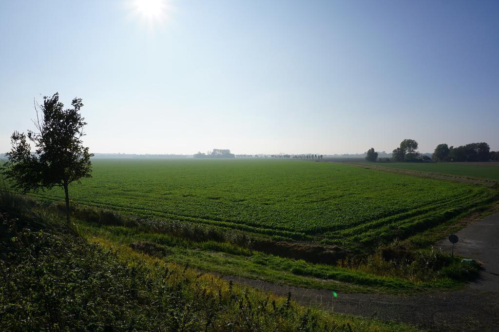 Gasthuis De Ring