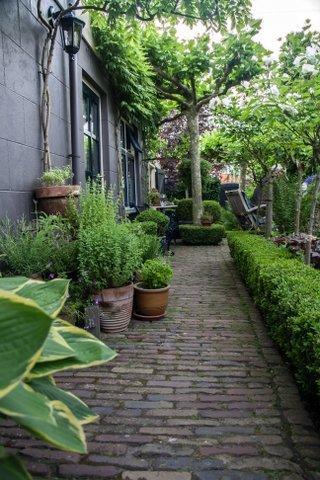 Guest house De Ring Dreischor